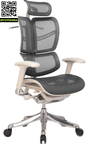 Эргономичное офисное кресло Expert Fly (Серый) купить за 57800 рублей. Отзывы, фото, есть в магазине, доставка по Москве и России в Эрготронике