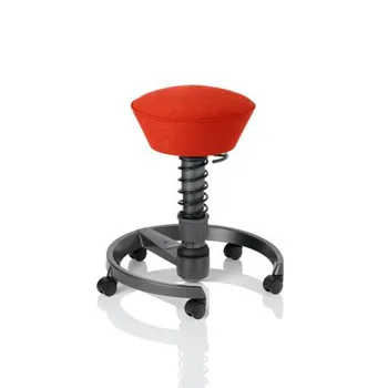 Динамический стул Swopper Classic