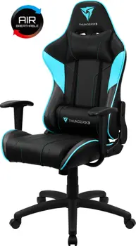 Компьютерное кресло ThunderX3 EC3 с дышащей экокожей