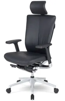 Эргономичное кресло SCHAIRS AEON-F01SX