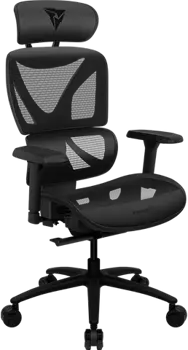 Эргономичное сетчатое кресло ThunderX3 XTC