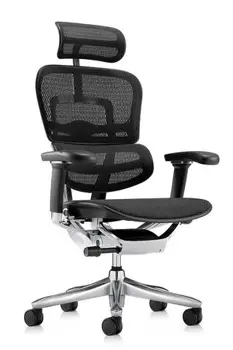 Эргономичное кресло Comfort Workspace Ergohuman 2 SE (Special Edition)