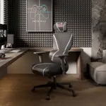 Эргономичное компьютерное кресло Eureka Norn