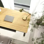 Стол для компьютера FoxGear FG-ED-55 с электроприводом