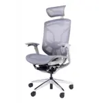 Эргономичное кресло GT Chair Dvary X