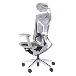 Эргономичное кресло GT Chair Dvary X