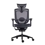 Эргономичное компьютерное кресло GT Chair Marrit X