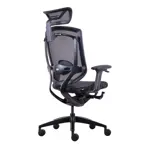 Эргономичное компьютерное кресло GT Chair Marrit X