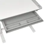 Комплект парта и стул трансформеры FunDesk Littonia