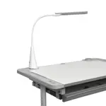 Комплект парта и стул трансформеры FunDesk Littonia