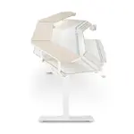 Стол для геймеров Eureka ERK-ES71 с электрической регулировкой по высоте