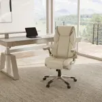 Эргономичное компьютерное кресло Eureka OC11