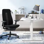 Эргономичное кресло Fern