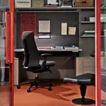 Эргономичное кресло Fern