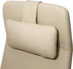 Эргономичное кресло руководителя Match HB