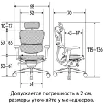 Компьютерное кресло Ergohuman Elite 2