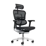 Компьютерное кресло Ergohuman Elite 2