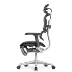 Компьютерное кресло Ergohuman Elite 2