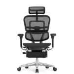 Компьютерное кресло Ergohuman Elite 2
