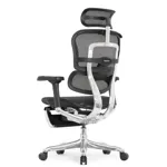 Компьютерное кресло Ergohuman Elite 2