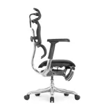 Компьютерное кресло Ergohuman Elite 2