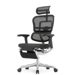 Компьютерное кресло Ergohuman Elite 2