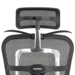 Компьютерное кресло Ergohuman Elite 2