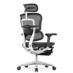 Компьютерное кресло Ergohuman Elite 2
