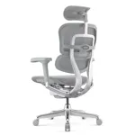 Компьютерное кресло Ergohuman Elite 2