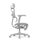 Компьютерное кресло Ergohuman Elite 2