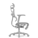 Компьютерное кресло Ergohuman Elite 2