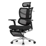 Эргономичное кресло Expert-2 Fly