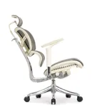 Эргономичное кресло Expert-2 Fly