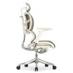 Эргономичное кресло Expert-2 Fly