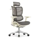 Эргономичное кресло Expert-2 Fly