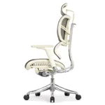 Эргономичное кресло Expert-2 Fly