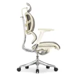 Эргономичное кресло Expert-2 Fly