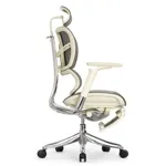 Эргономичное кресло Expert-2 Fly