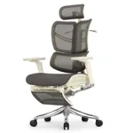Эргономичное кресло Expert-2 Fly