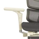 Эргономичное кресло Expert-2 Fly