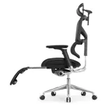 Эргономичное кресло Expert-2 Sail