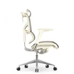 Эргономичное кресло Expert-2 Sail