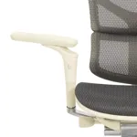 Эргономичное кресло Expert-2 Sail