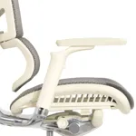 Эргономичное кресло Expert-2 Sail