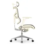 Эргономичное кресло Expert-2 Sail