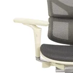 Эргономичное кресло Expert-2 Sail