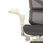 Эргономичное кресло Expert-2 Sail