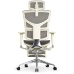 Эргономичное кресло Expert-2 Sail