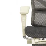 Эргономичное кресло Expert-2 Sail