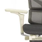 Эргономичное кресло Expert-2 Sail